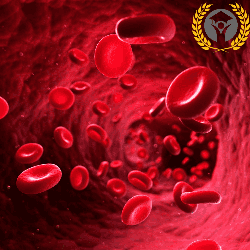 Diese Studie präsentiert eine Pipeline zur genauen 3D-Visualisierung und Analyse von Blutgefäßen in der Angiogenese.